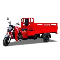 175cc تھری وہیل کارگو موٹر سائیکل