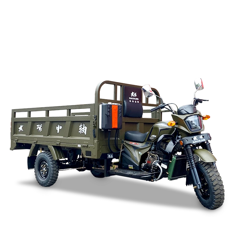 Threewheel Cargo Motorcycle Cargo Loader Passenger Tricycle